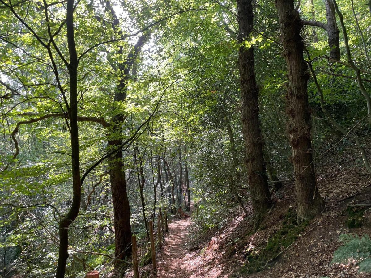 The Forester Schoorl Exterior photo